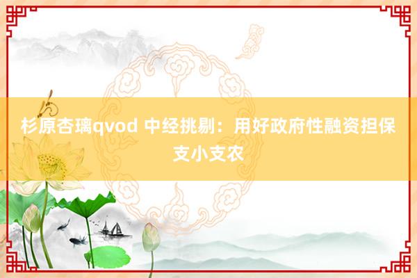 杉原杏璃qvod 中经挑剔：用好政府性融资担保支小支农