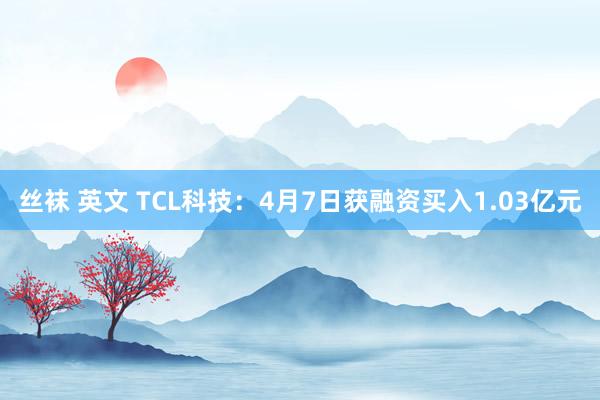 丝袜 英文 TCL科技：4月7日获融资买入1.03亿元