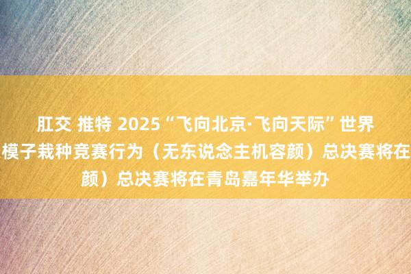 肛交 推特 2025“飞向北京·飞向天际”世界青少年航空航天模子栽种竞赛行为（无东说念主机容颜）总决赛将在青岛嘉年华举办