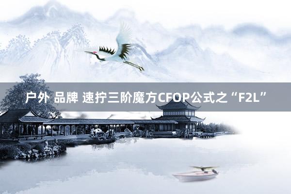 户外 品牌 速拧三阶魔方CFOP公式之“F2L”