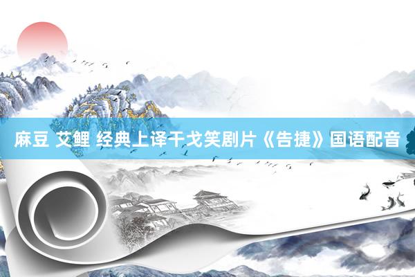 麻豆 艾鲤 经典上译干戈笑剧片《告捷》国语配音